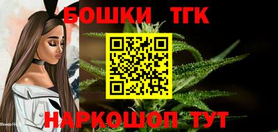 индика Малгобек