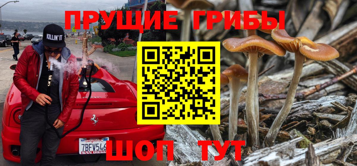 Псилоцибиновые грибы прущие грибы  Вход с VPN  Знаменск 