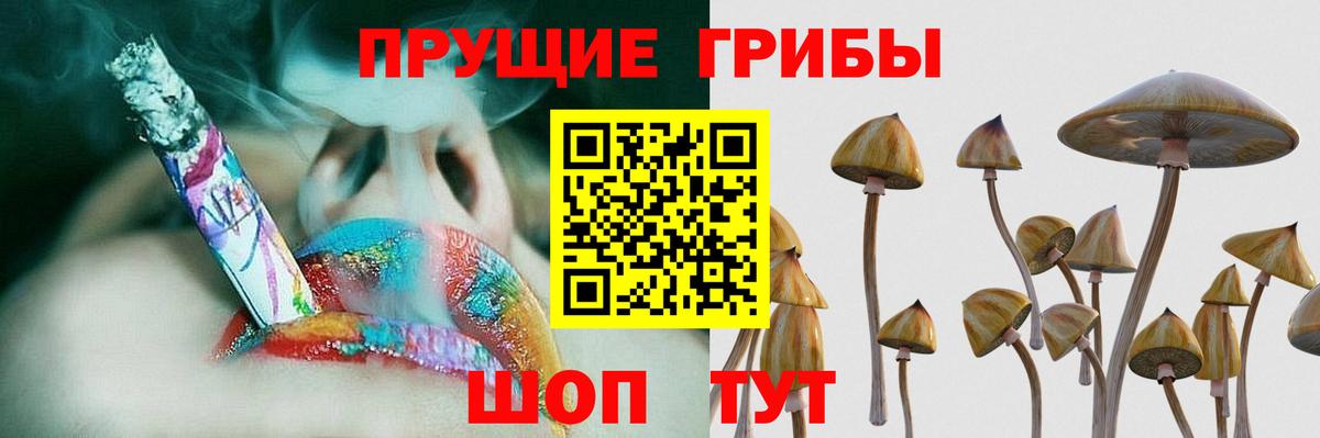 Галлюциногенные грибы MAGIC MUSHROOMS Знаменск
