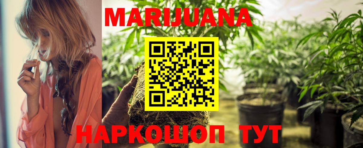 Конопля OG Kush Знаменск